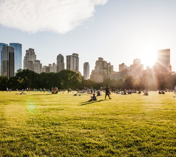 Manhattan skyline view from Central Park